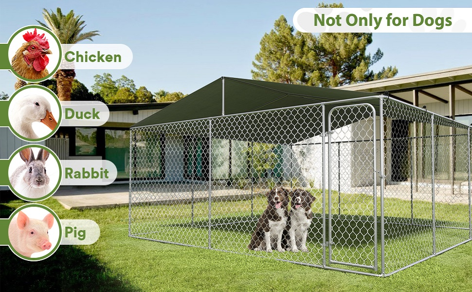 covered outdoor dog kennel