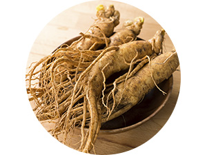 Ginseng