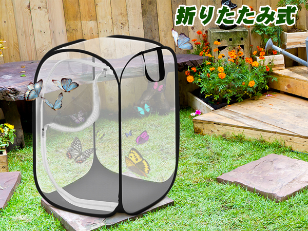 蝶とトンボ55年標本現状品のみ写真がご確認してくださいケース約35x26x6cm 蝶とトンボ55年標本現状品のみ写真がご確認してください