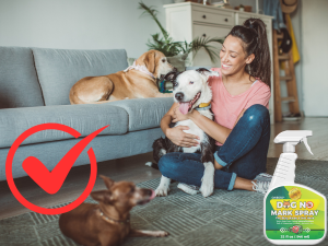 no pee spray for dogs indoor