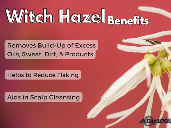 allday locks witch hazel benefits