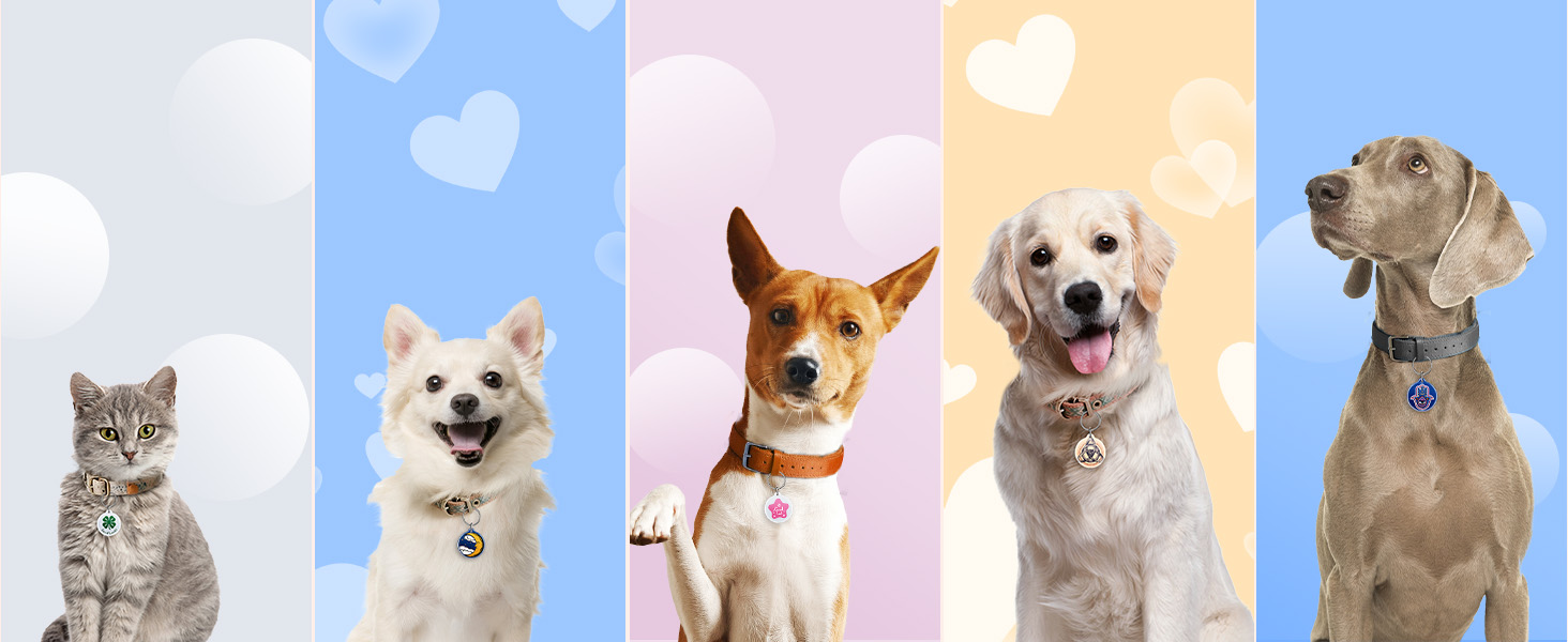 good luck charms dog tag