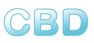 2-Hoverboard  Hoaverboards Adults Hover board Hoverboard for kids 6-12 