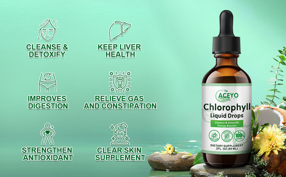 Organic Chlorophyll Liquid Drops for Adults Women Men Chlorophyll Mint Water Vegan