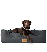 hundebett orthopädisch
