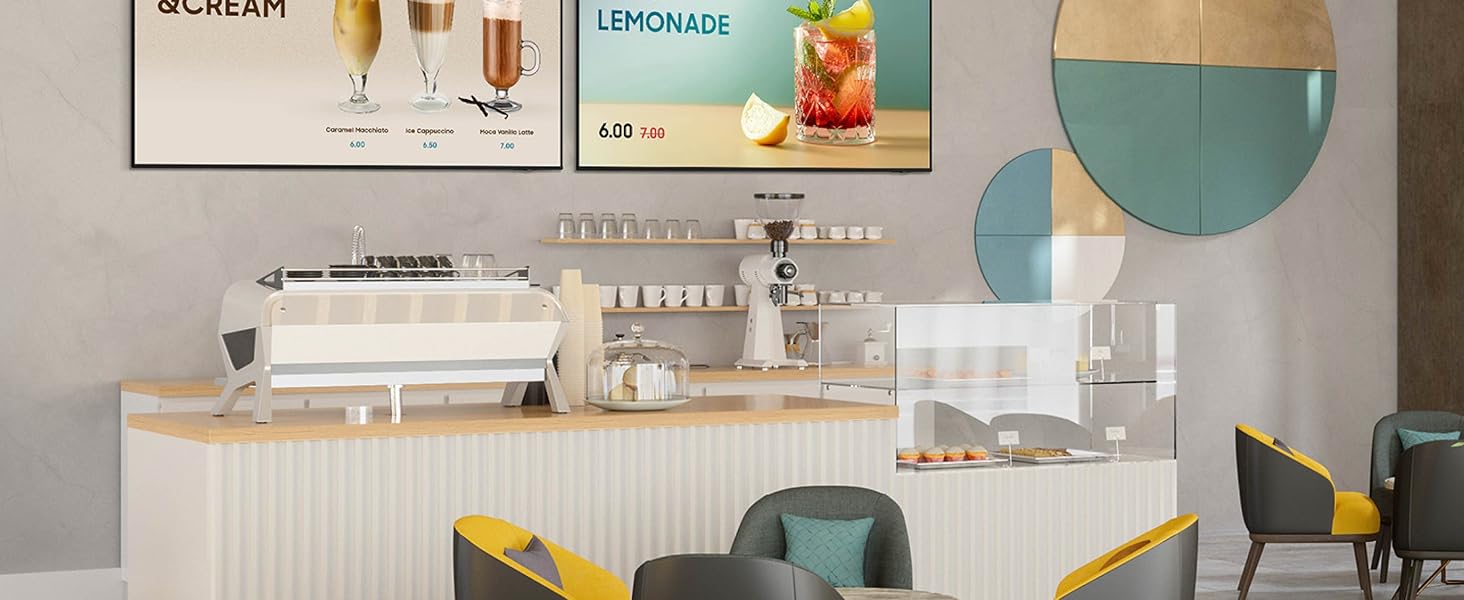 BEFX-H Series Business Pro TV