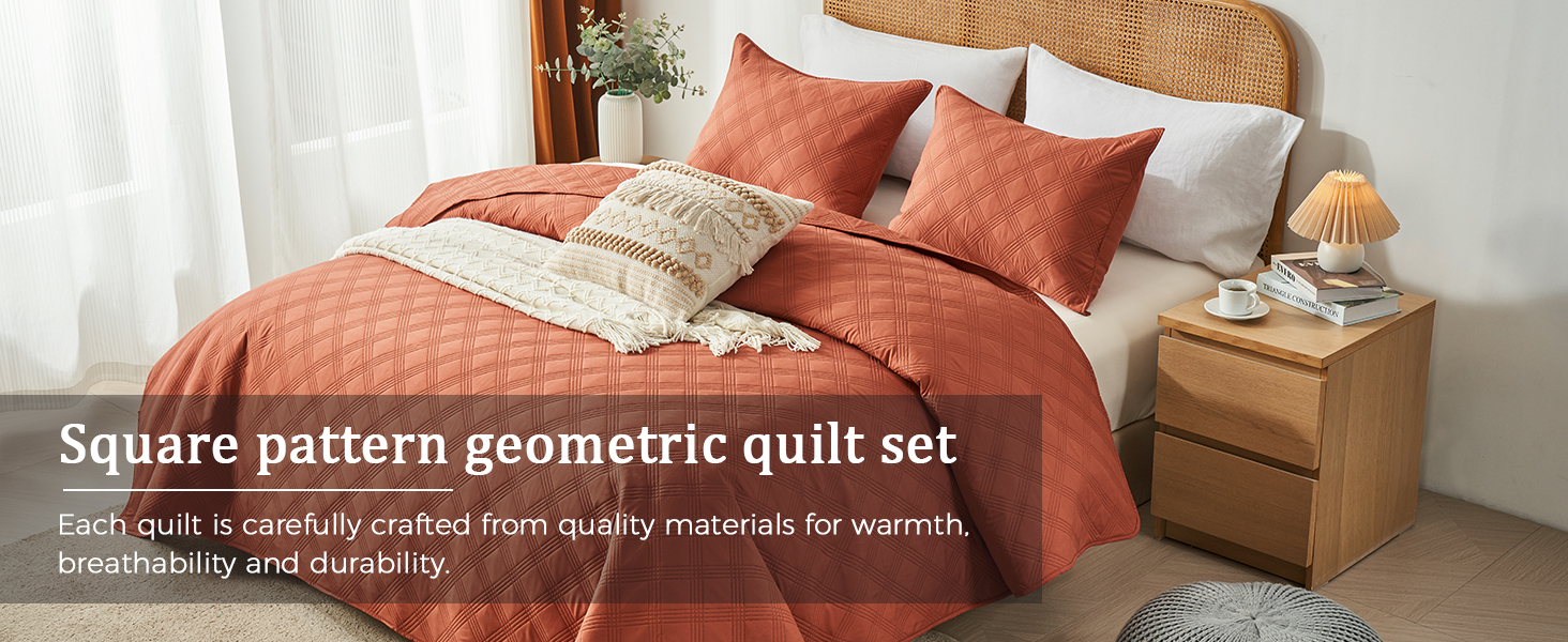 inron Queen Quilt Bedding Set,Soft Ultrasonic Full/Queen