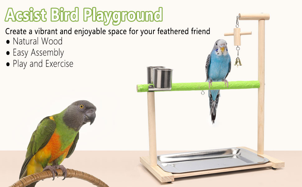 Bird Playground