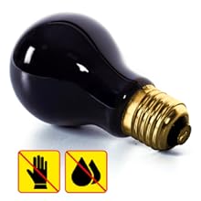 reptile heat lamp bulb