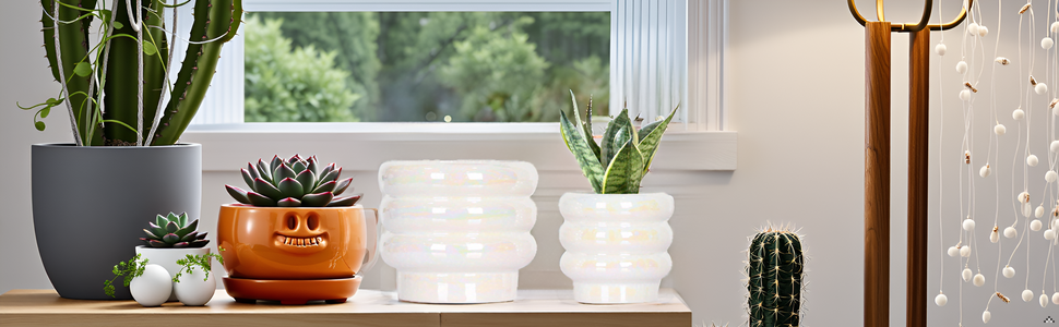 A rustic wooden table with the product placed on it. surrounded by various gardening tools and potte