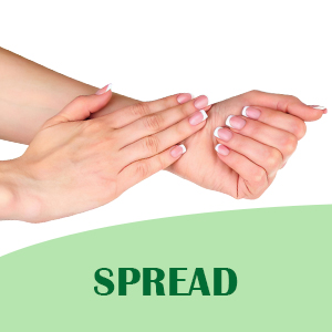 Mosquito Repellent Spray