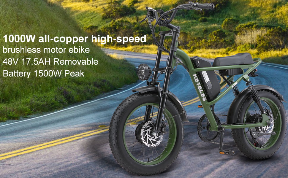 fastest ebike for adults men women 1000w long range e bike off road watt electric bike