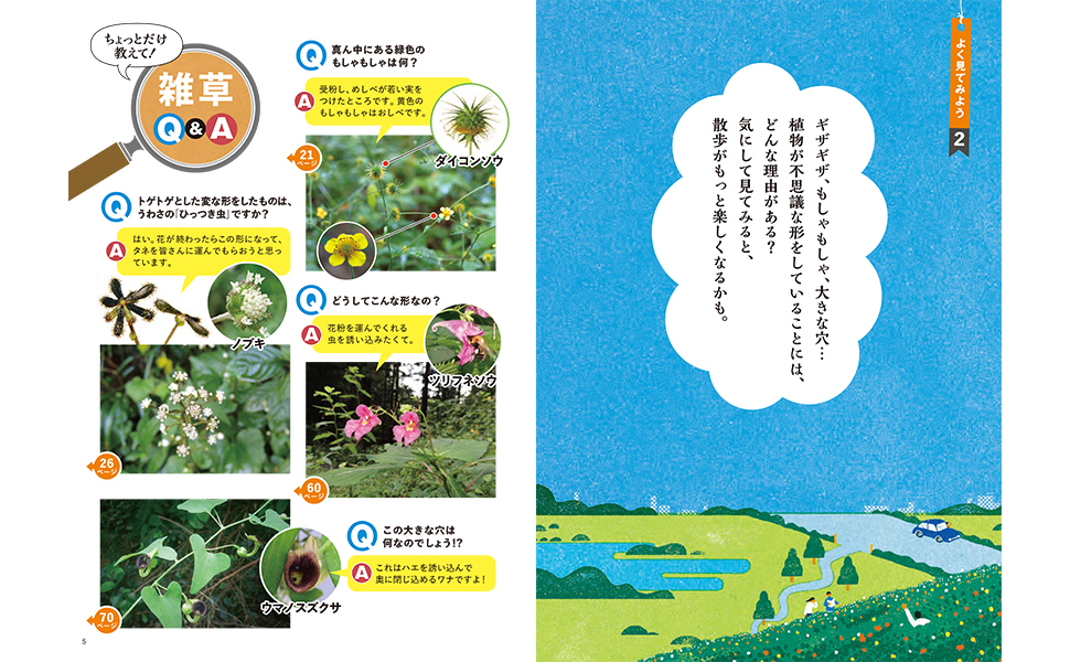 東京四季の花名所図鑑 折々に訪ねる散歩道 Ars books30 婦人画報社 東京四季の花名所図鑑 折々に訪ねる散歩道 Ars books30 婦人画
