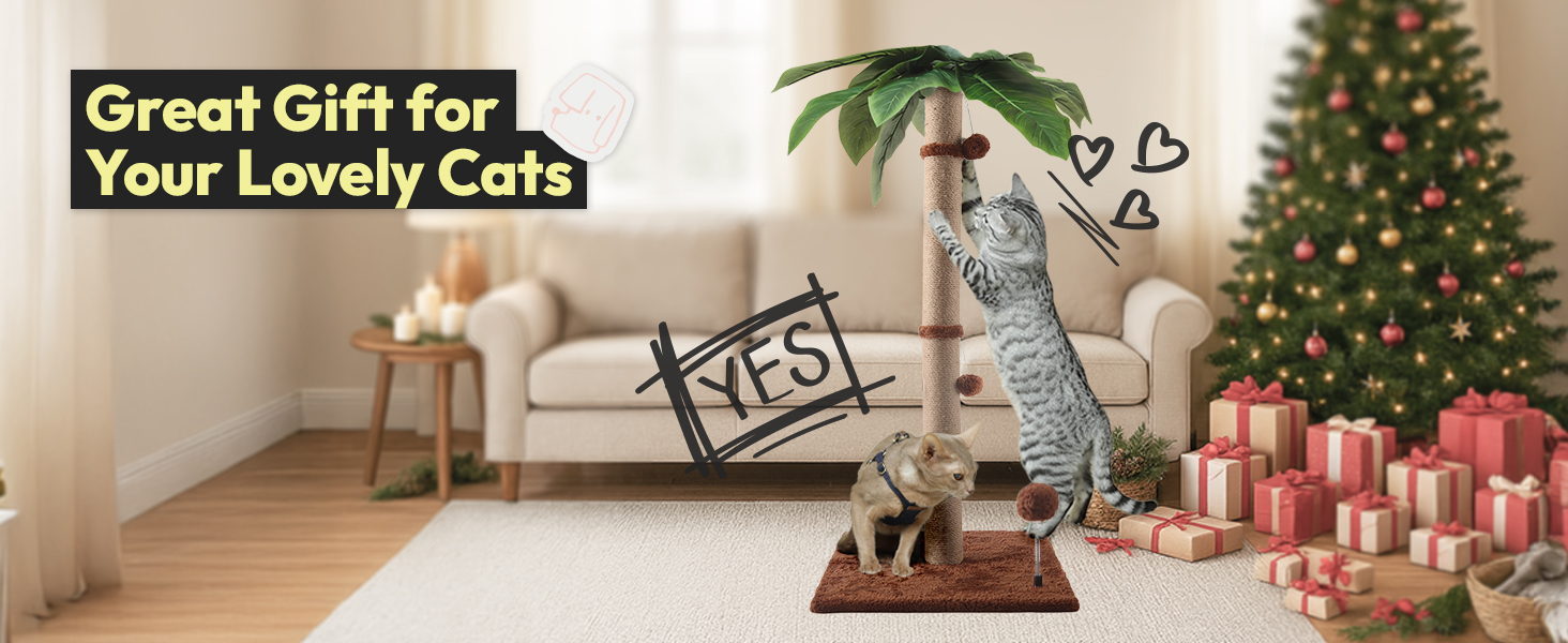 5.Great Gift for Your Lovely Cats (2)