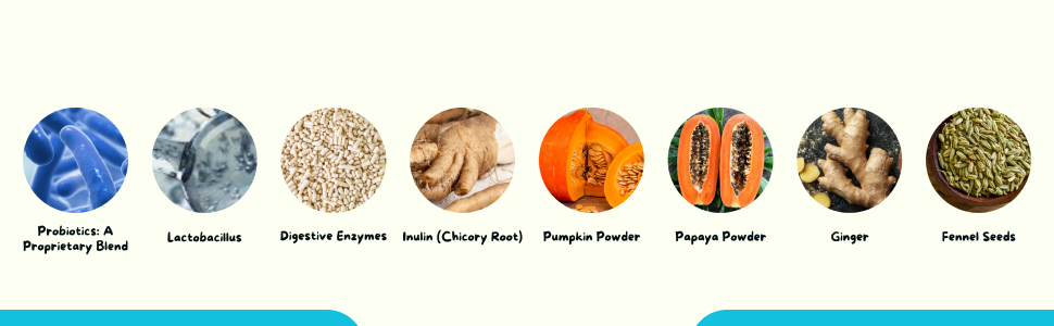 probiotics for dogs, dog supplement