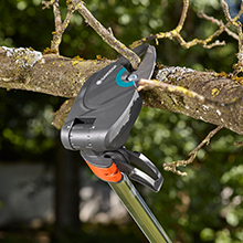 Small manufacture image 3