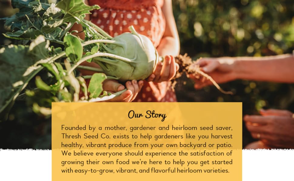 Thresh Seed Co. offers easy-to-grow, vibrant, and flavorful heirloom varieties