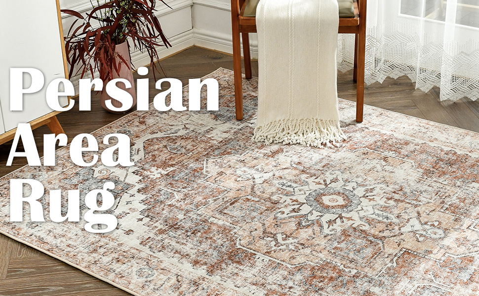 COLLACT Area Rug 5x7 Persian Rug Vintage Rug Indoor Floor