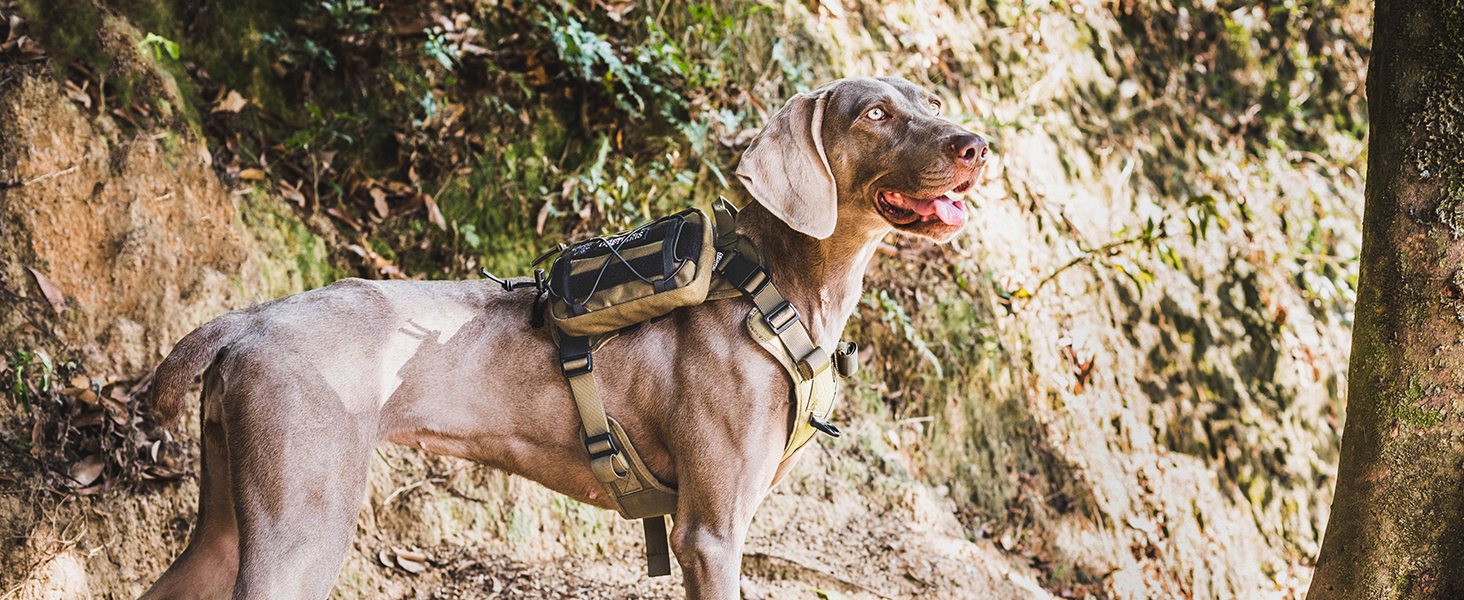 OneTigris EDC Futterbeutel für Hunde, Pouch Zusatztasche für ...