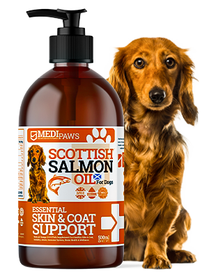 dog salmon oil 