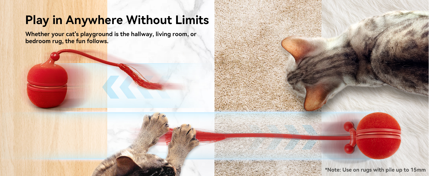 cat toys for bored indoor adult cats