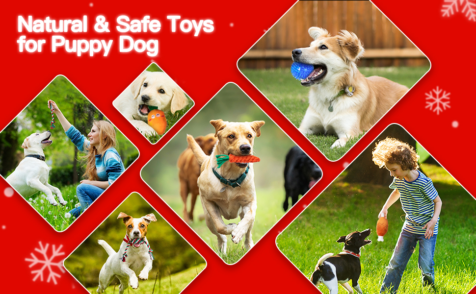 Dog Advent Calendar