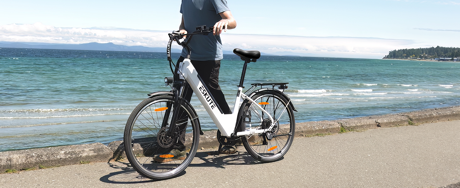 Electric Bicycle