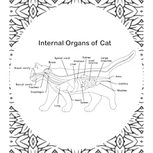 Animals Anatomy Coloring Book