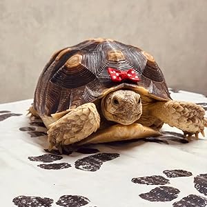 Small manufacture image 4