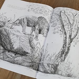 Bilder mit Bilderrahmen:  Eine Reise in die Welt des Zeichnens