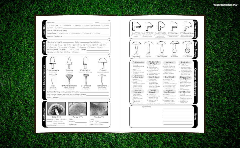 Mushrooms of Texas Identification Record Book A Simple Take Along Book to Identify and Track