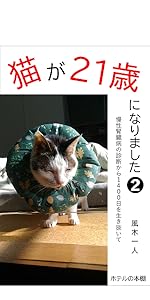 猫ちゃん 猫ちゃん カード検索 ｜ Z/X - Zillions of enemy X - ゼクス