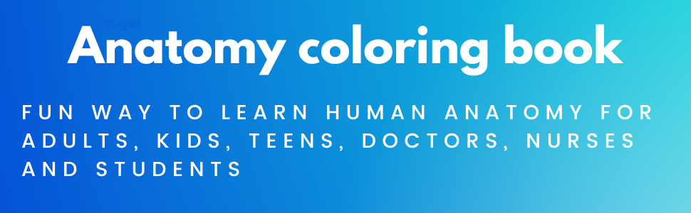 Anatomy coloring book banner