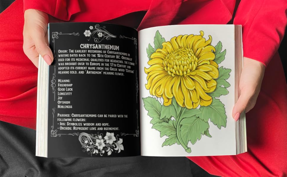 Victorian Flower Language in Art Nouveau Floriography Grayscale