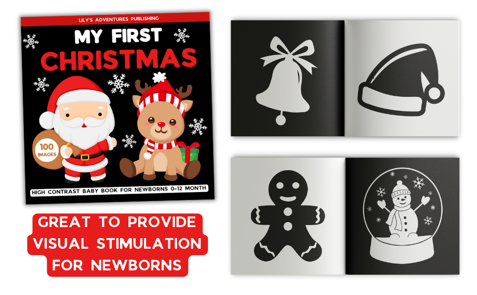 my first christmas book