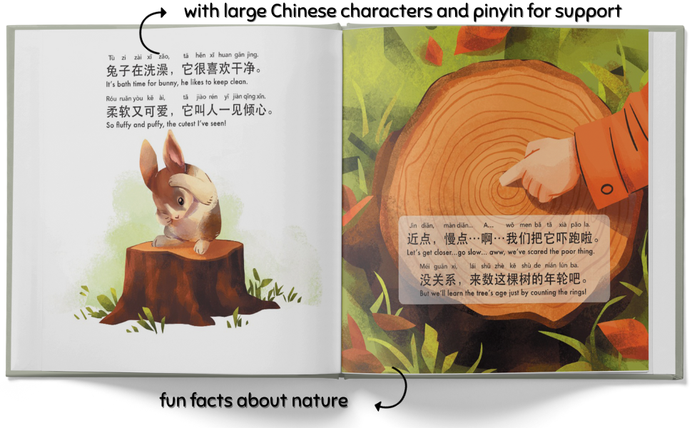 chinese story books for kids, bilingual story books