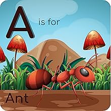 Ant