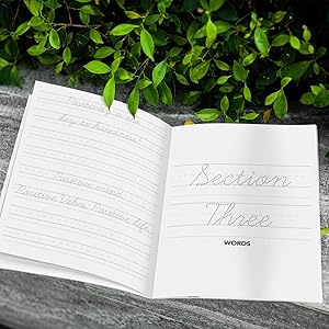 cursive handwriting quotes