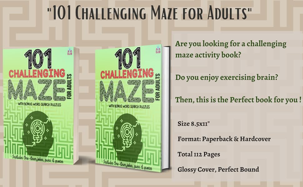 Maze activity book for adults Maze book for adults and teens