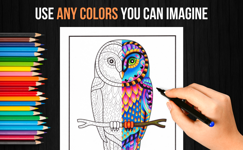 25a970fa-d79f-42b9-9eb9-fa7d01c02edd.__C