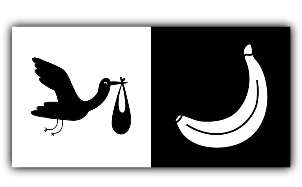 High Contrast Baby Book Black and White Baby Book with 50 Visual Stimulation Pictures Newborn