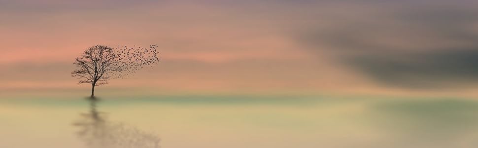 Der Millionär und der Mönch - Eine Wahre Geschichte über den Sinn des Lebens