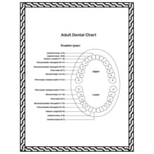 Adults Teeth Anatomy Coloring Book, Dental Anatomy Coloring Book, Human Body Anatomy Coloring Book