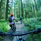 Mountain Biking