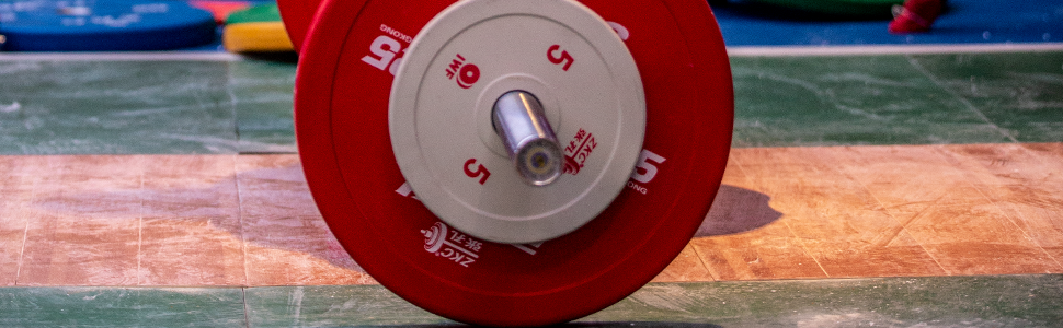 Discs of a barbell
