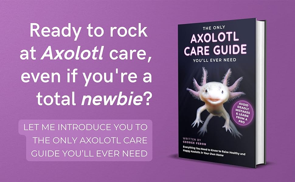 The Only Axolotl Care Guide You'll Ever Need Avoid Deadly Mistakes