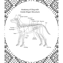 Dog Anatomy Coloring Book