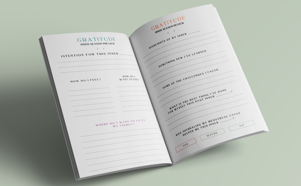 Menstrual Cycle Journal Simple & Detailed Period Tracker To Monitor