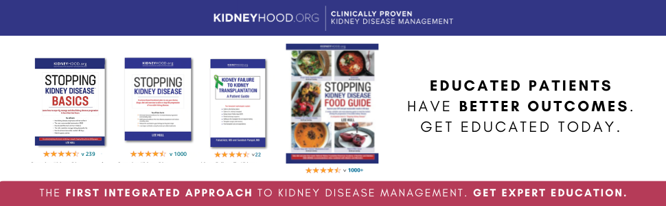 Stopping Kidney Disease Food Guide: A recipe, nutrition and meal planning guide to treat the factors driving the progression of incurable kidney disease