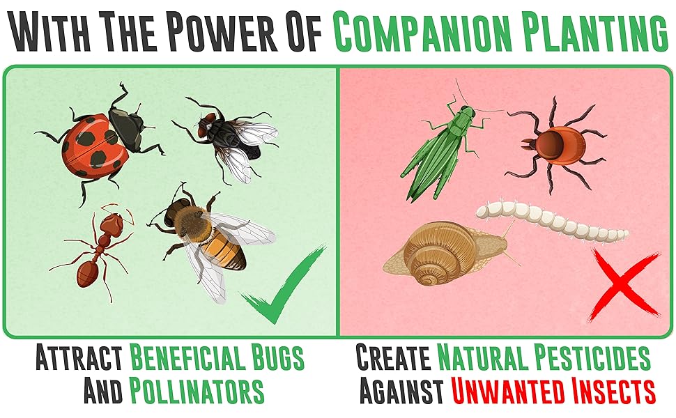 keep the bad insects away and attract beneficial bugs and pollinators